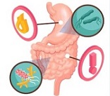 Medico Especialista em Endoscopia Digestiva em Santa Maria da Vitoria e em Sao Felix do Coribe