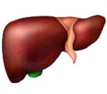 Medico Hepatologista em Santa Maria da Vitoria e em Sao Felix do Coribe